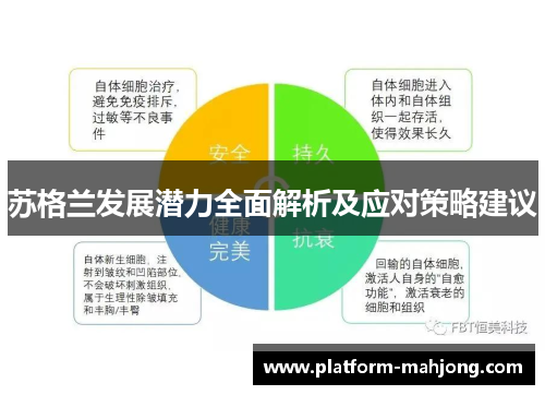 苏格兰发展潜力全面解析及应对策略建议